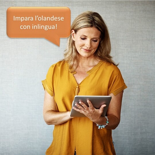 corsi di olandese, corso di olandese, scuola di lingua olandese, Corso di svedese individuale